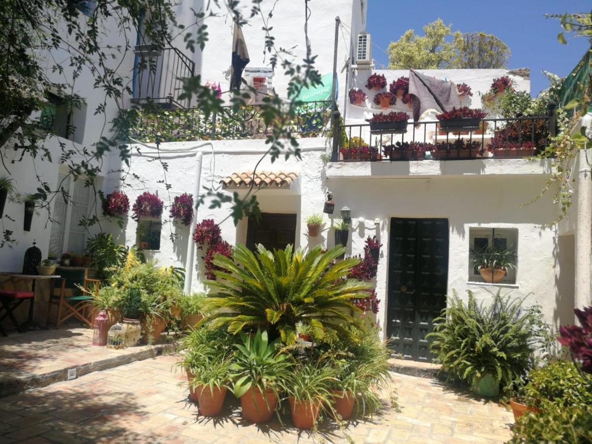 Alojamiento Con Encanto Vejer de la Frontera Dış mekan fotoğraf